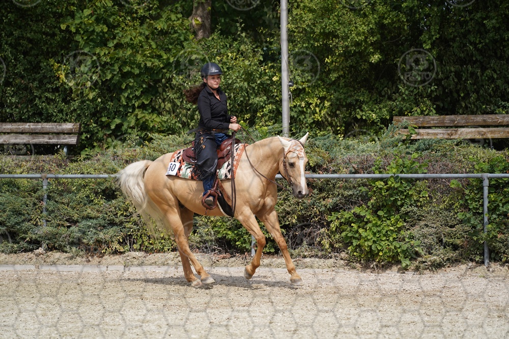 A7_03095.JPG